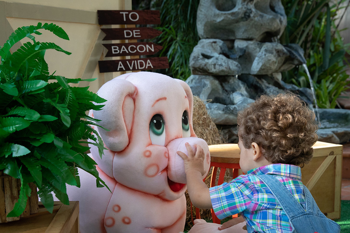 Festa de 2 anos Vitor: Vitor brincando com o porquinho no Sítio Recanto dos Sonhos, RJ.