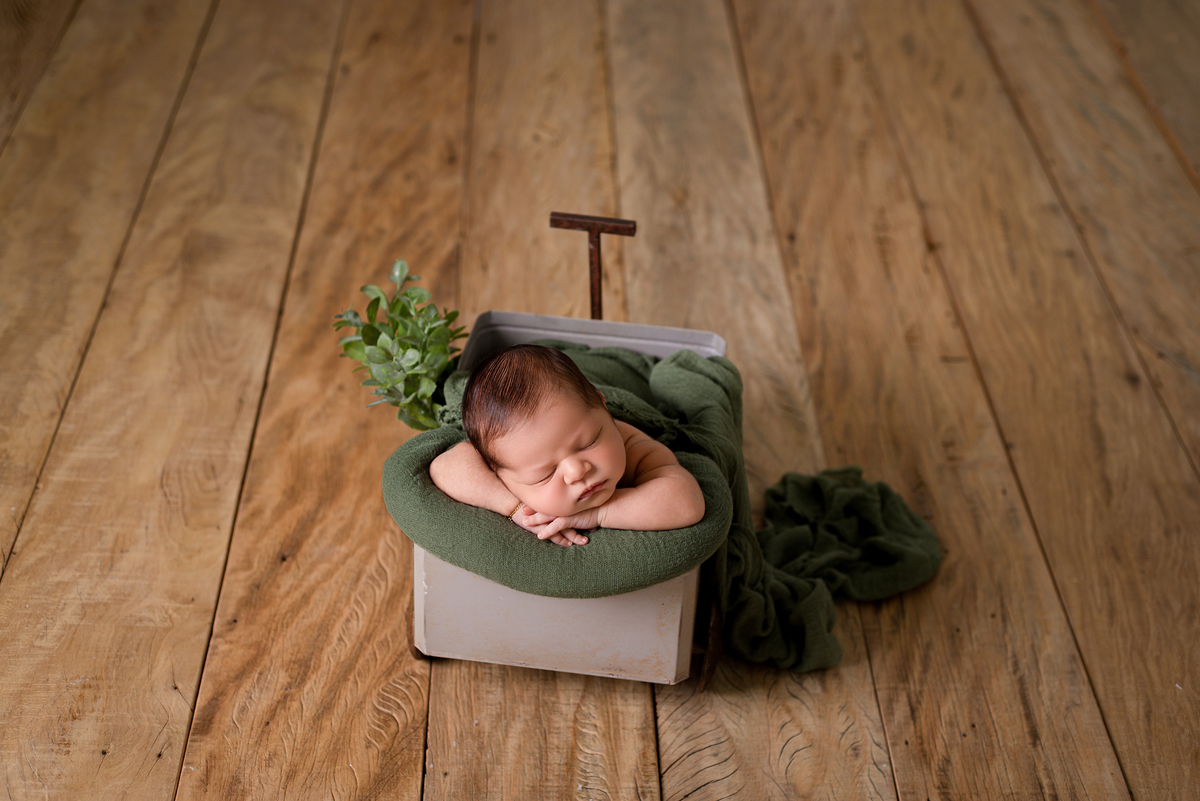 ensaio newborn