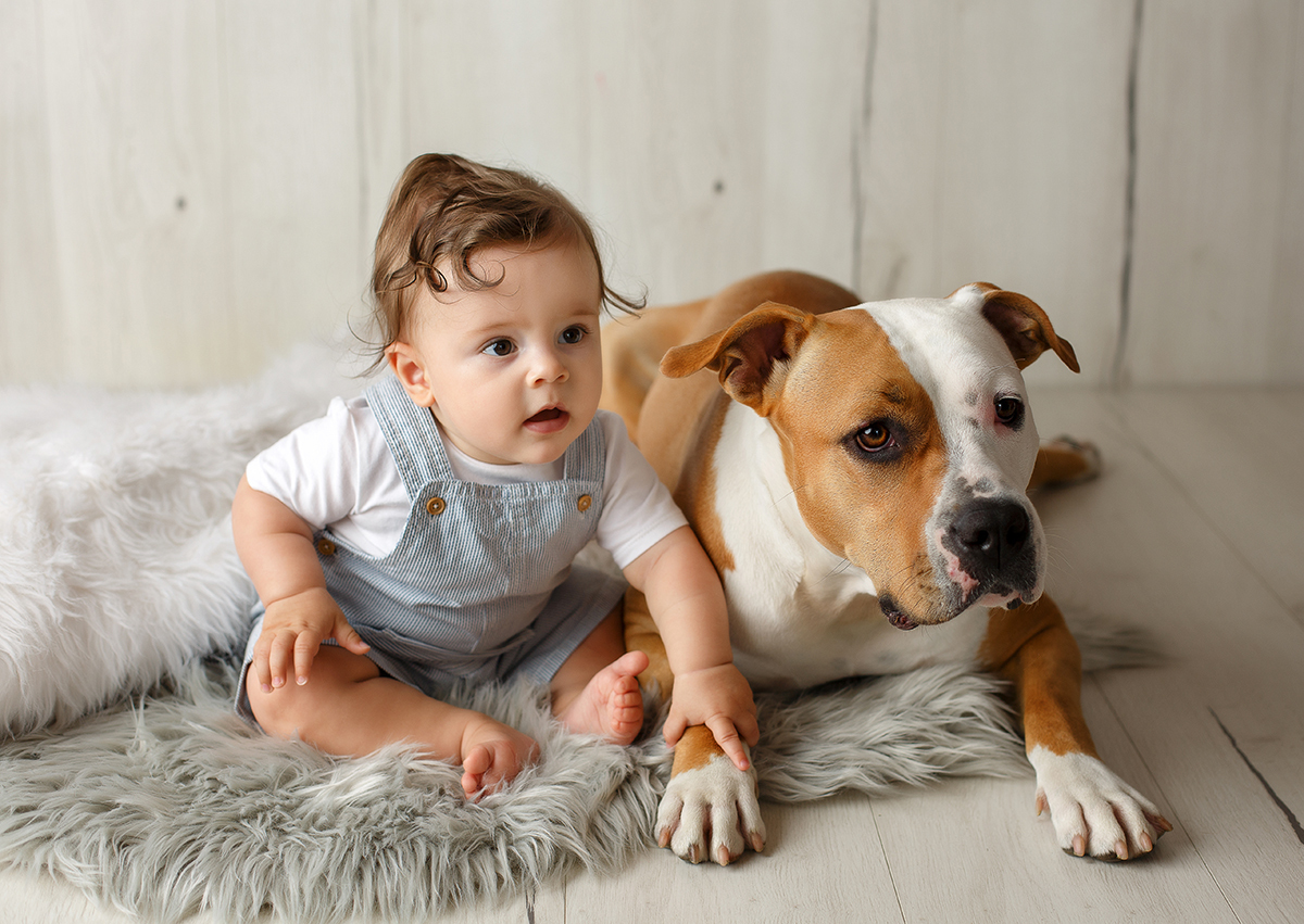 sessão fotográfica, sessão de bebés, fotografia de bebés, sessão de foto crianças, sessão de acompanhamento, fotógrafo infantil, fotógrafo coimbra, fotografia newborn, newborn, fotografia de recém nascido, fotógrafo de recém nascido, sessão de fotos