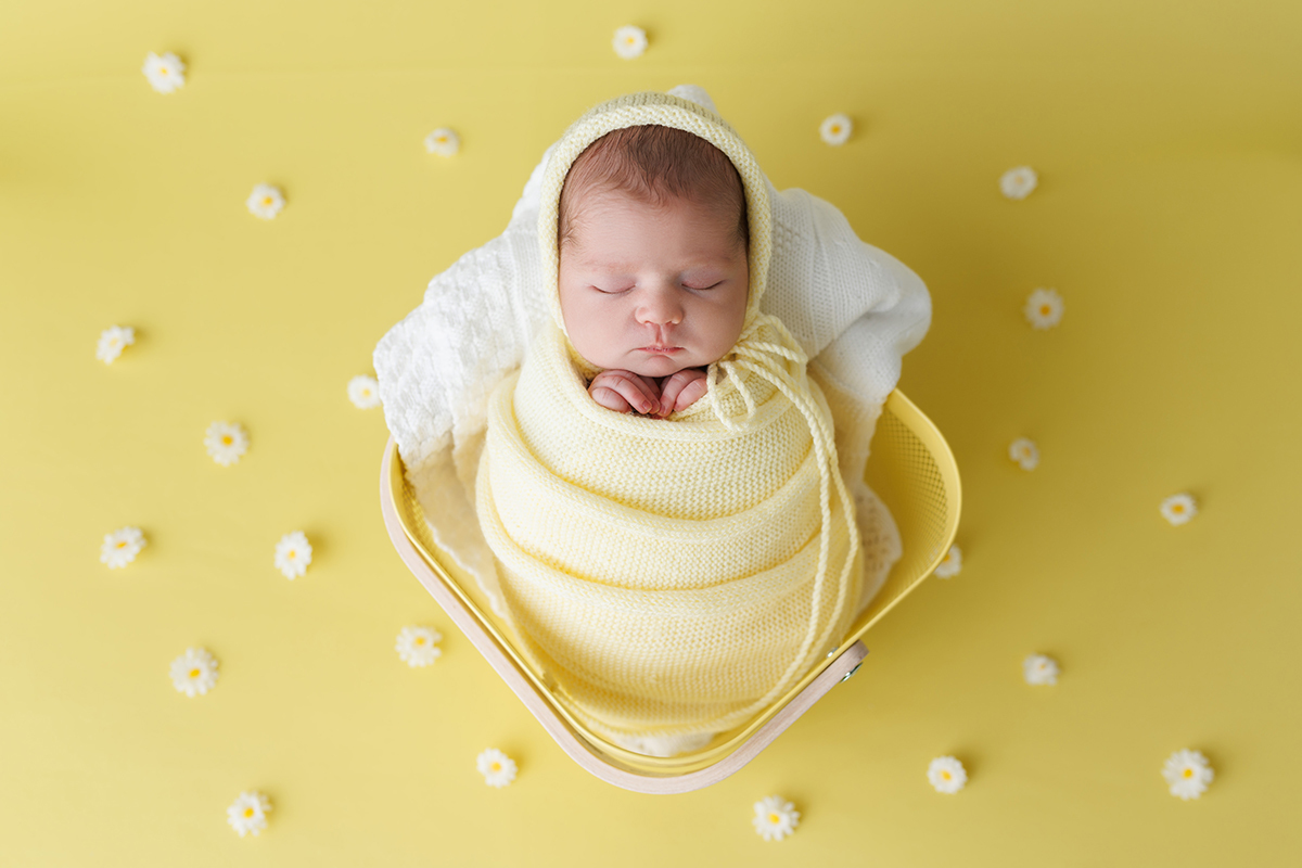 sessão fotografias, sessão infantil, fotografia de crianças, newborn, fotógrafo coimbra, grávida, fotografia newborn, acompanhamento, infantil, smash the cake, fotografias de crianças, foto bebés, 3 meses, 6 meses, 9 meses, foto grávida
