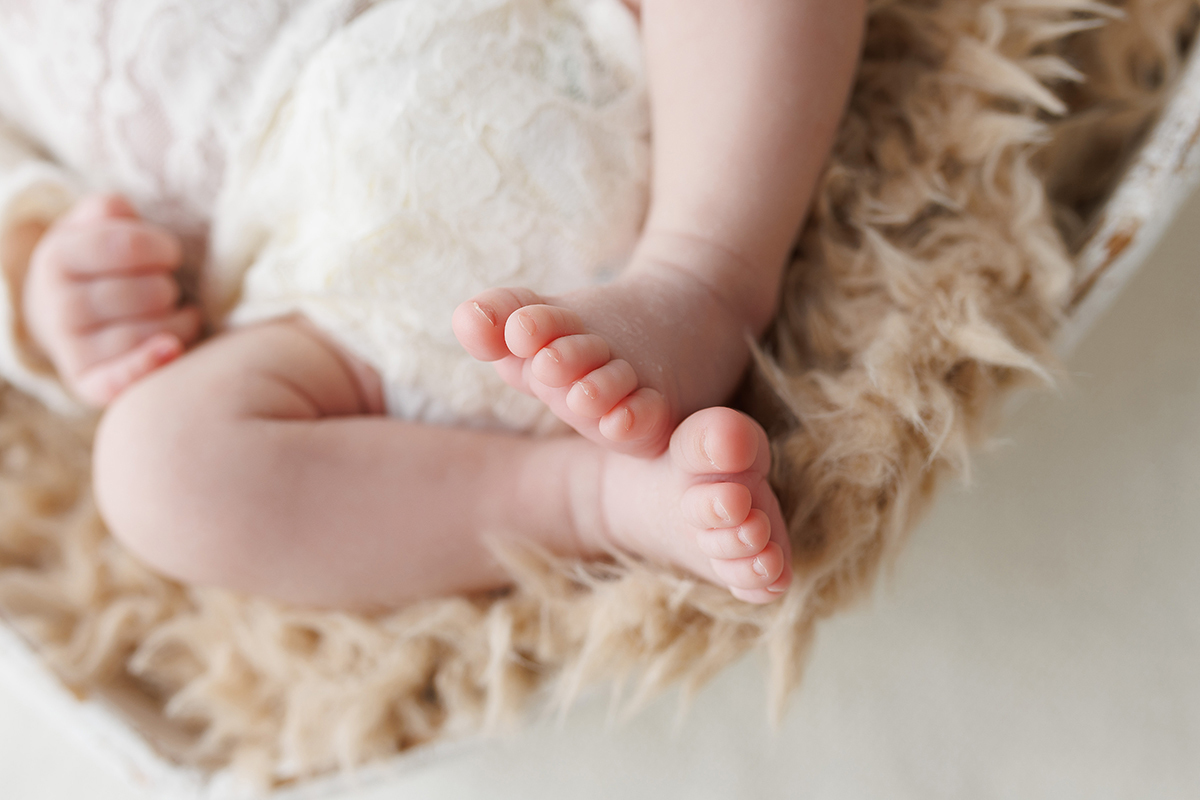 sessão fotografias, sessão infantil, fotografia de crianças, newborn, fotógrafo coimbra, grávida, fotografia newborn, acompanhamento, infantil, smash the cake, fotografias de crianças, foto bebés, 3 meses, 6 meses, 9 meses, foto grávida