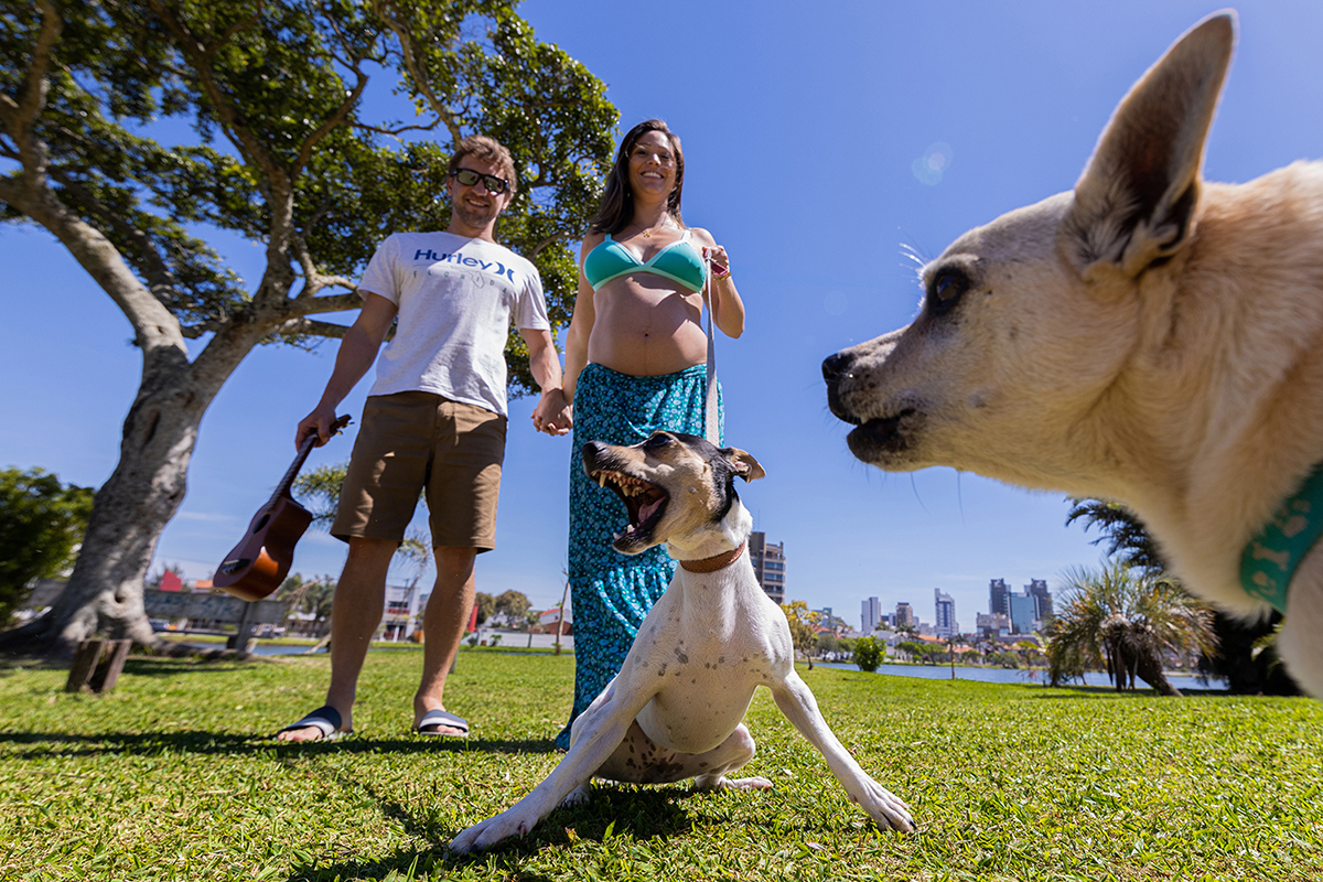 Ensaio Família, ensaio gestante co Pets, ensaio gestante na praia, ensaio gestante em Torres/RS