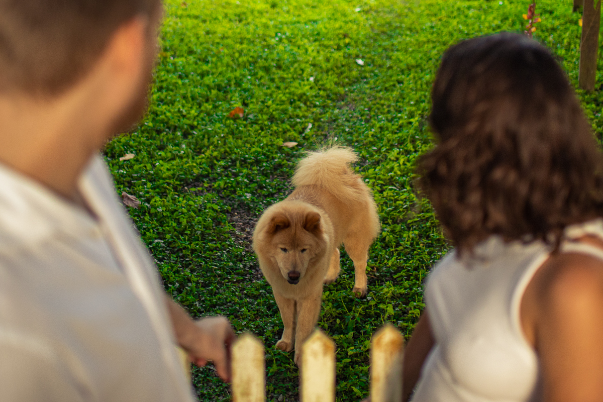 Ensaio Casal, ensaio Externo, pré-wedding, silhueta, Humildes, retrato casal, labrador