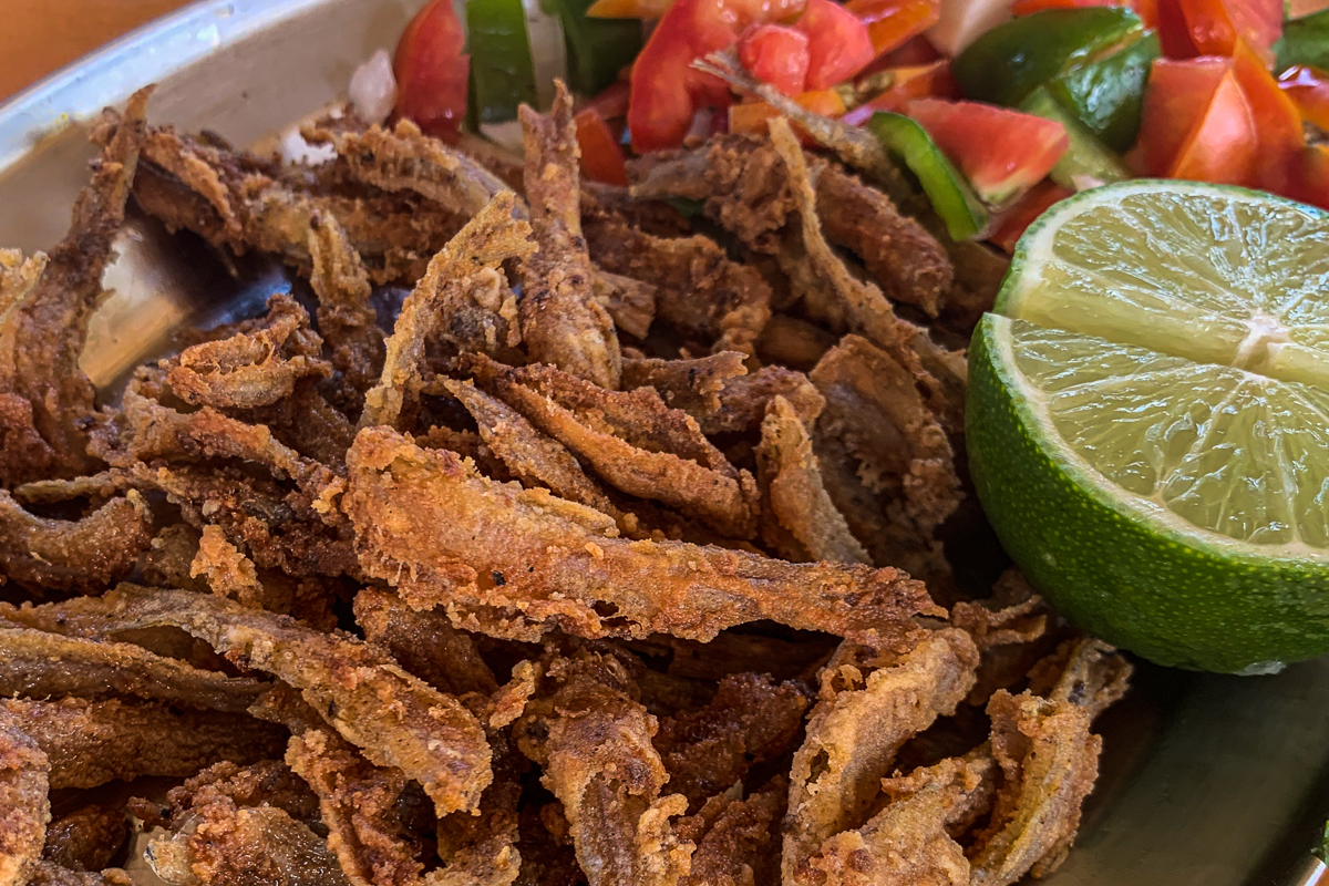 Culinária Rio Paraguaçu, restaurante coqueiros.com, pré-wedding