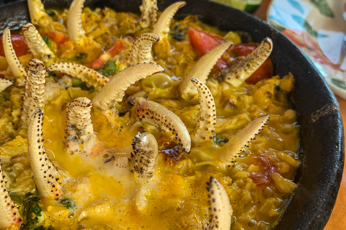 Culinária Rio Paraguaçu, restaurante coqueiros.com, pré-wedding