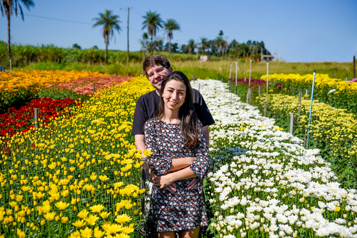 fernando-piccin-ensaio-casamento-holambra-daiane-alex-noivos-flores-girassol-fotografia-fotografo-eventos