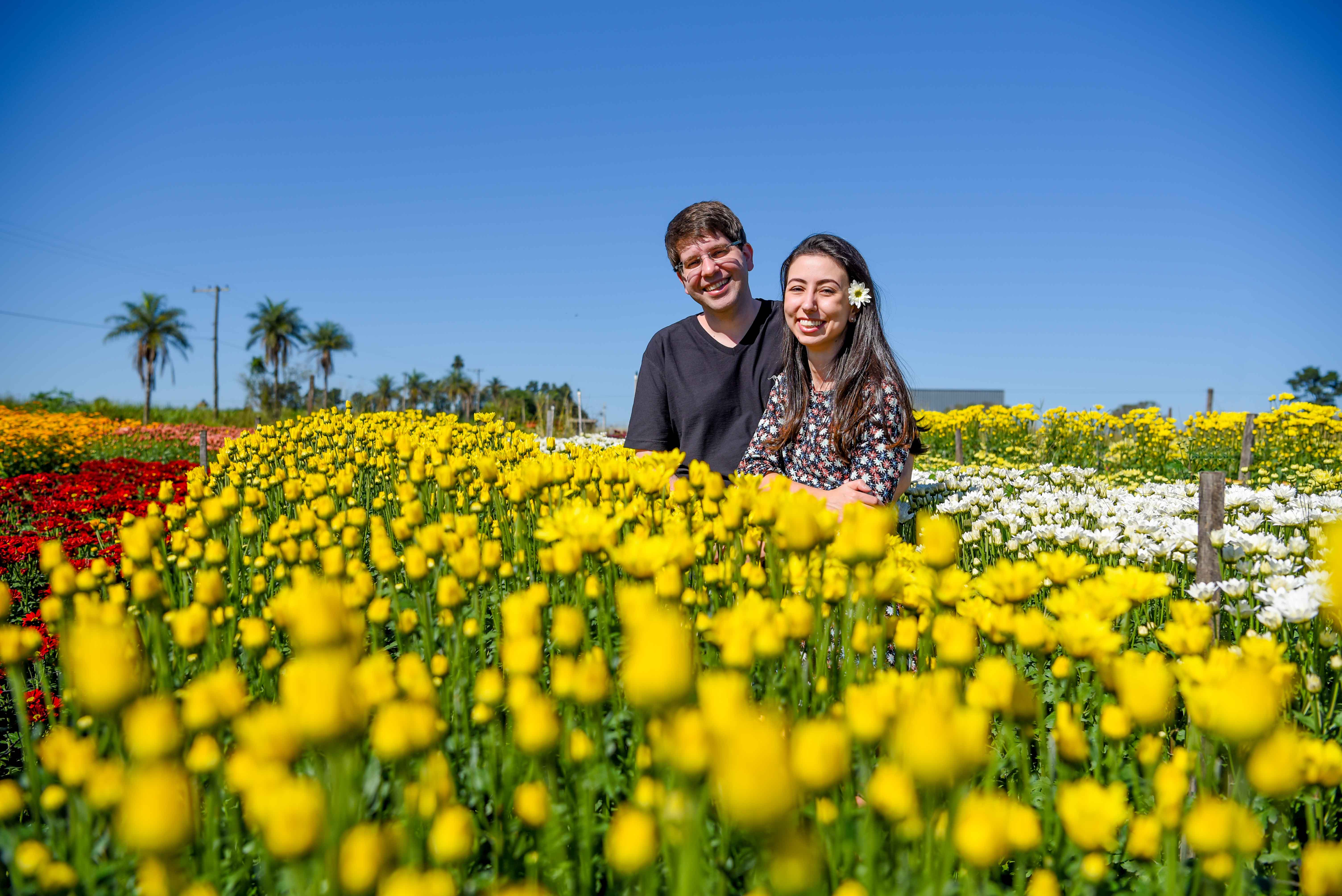 fernando-piccin-ensaio-casamento-holambra-daiane-alex-noivos-flores-girassol-fotografia-fotografo-eventos