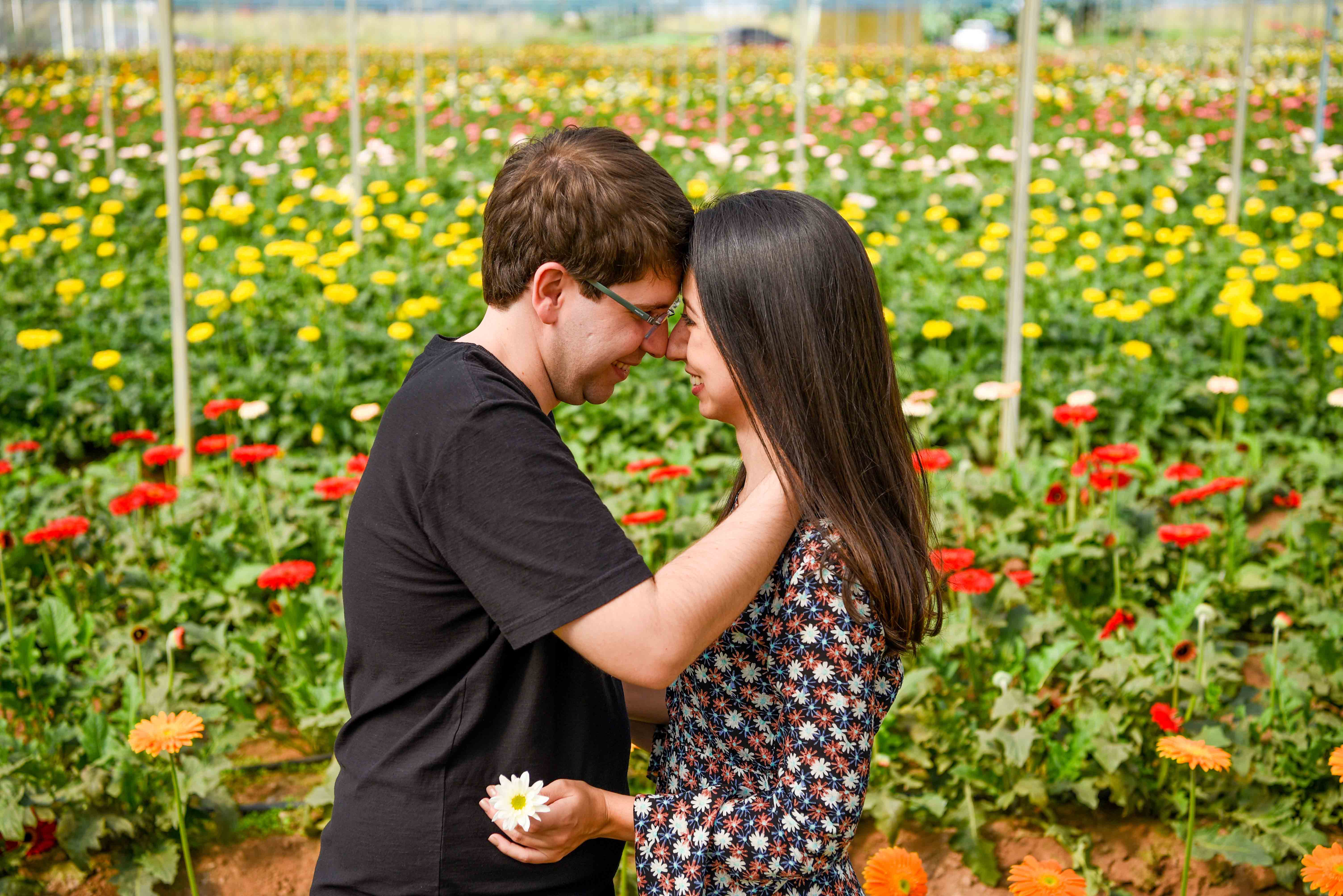 fernando-piccin-ensaio-casamento-holambra-daiane-alex-noivos-flores-girassol-fotografia-fotografo-eventos