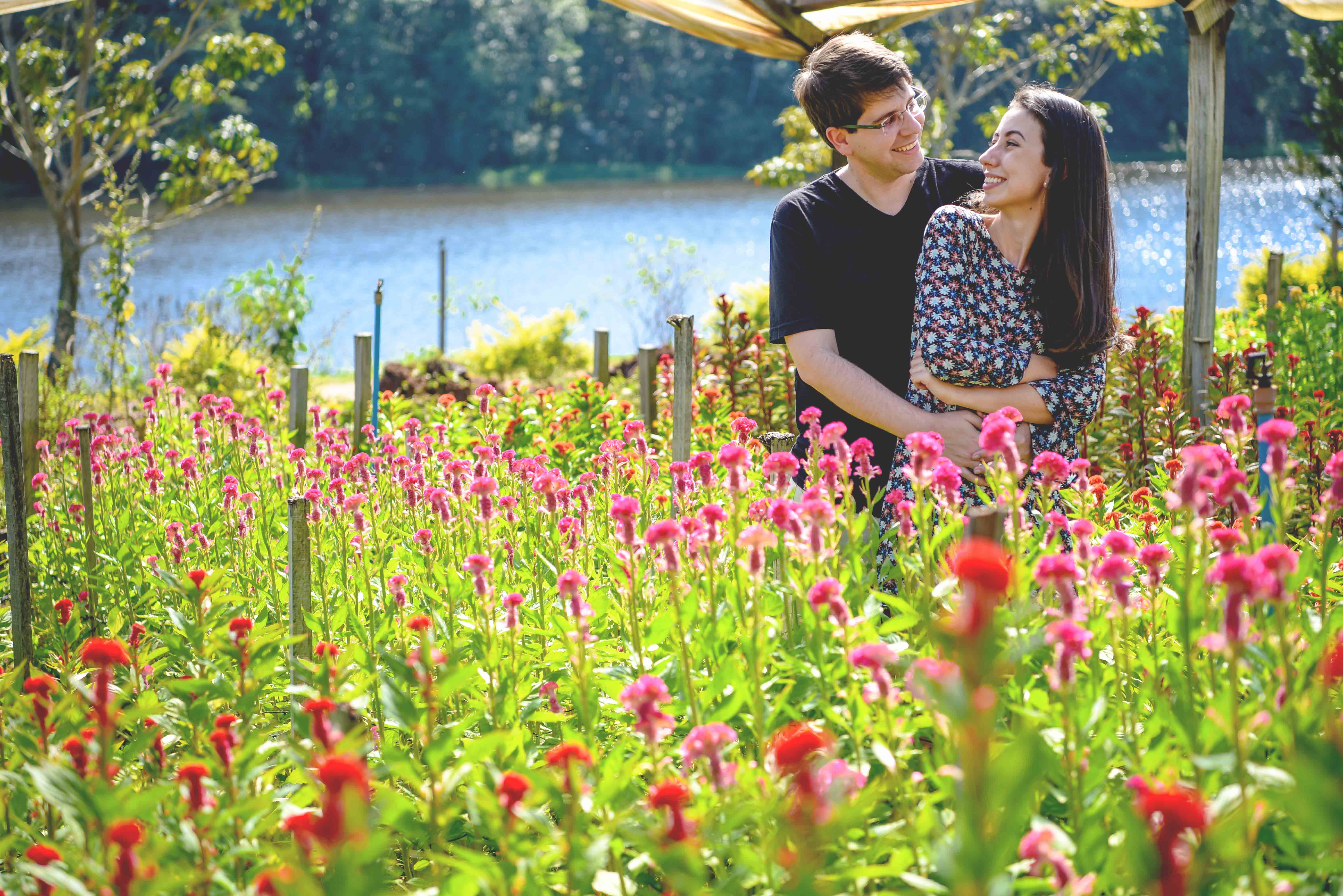fernando-piccin-ensaio-casamento-holambra-daiane-alex-noivos-flores-girassol-fotografia-fotografo-eventos