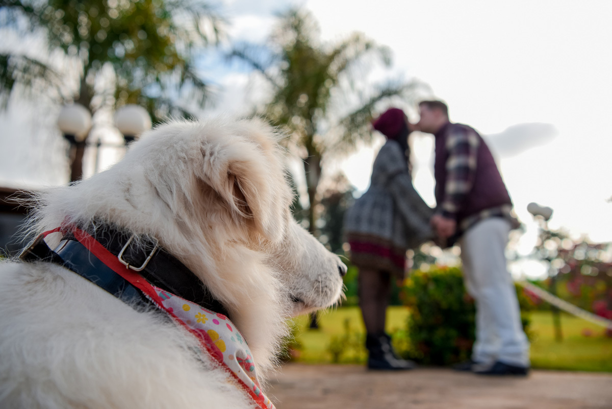 ensaio-estevan-glaucia-flores-casamento-fernando-piccin-fotografo-eventos