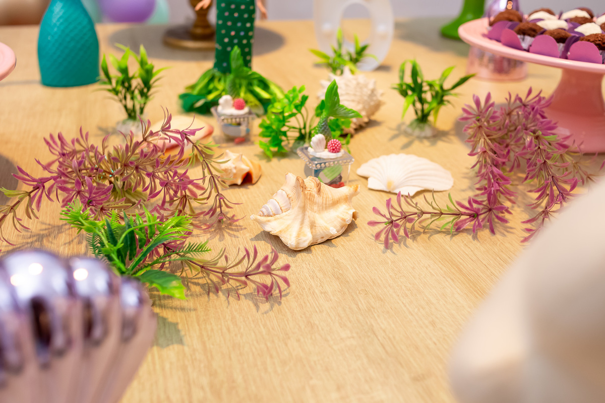 Aniversário da Maria - Cobertura de aniversário - Caraguatatuba/SP - On Click Fotografia 