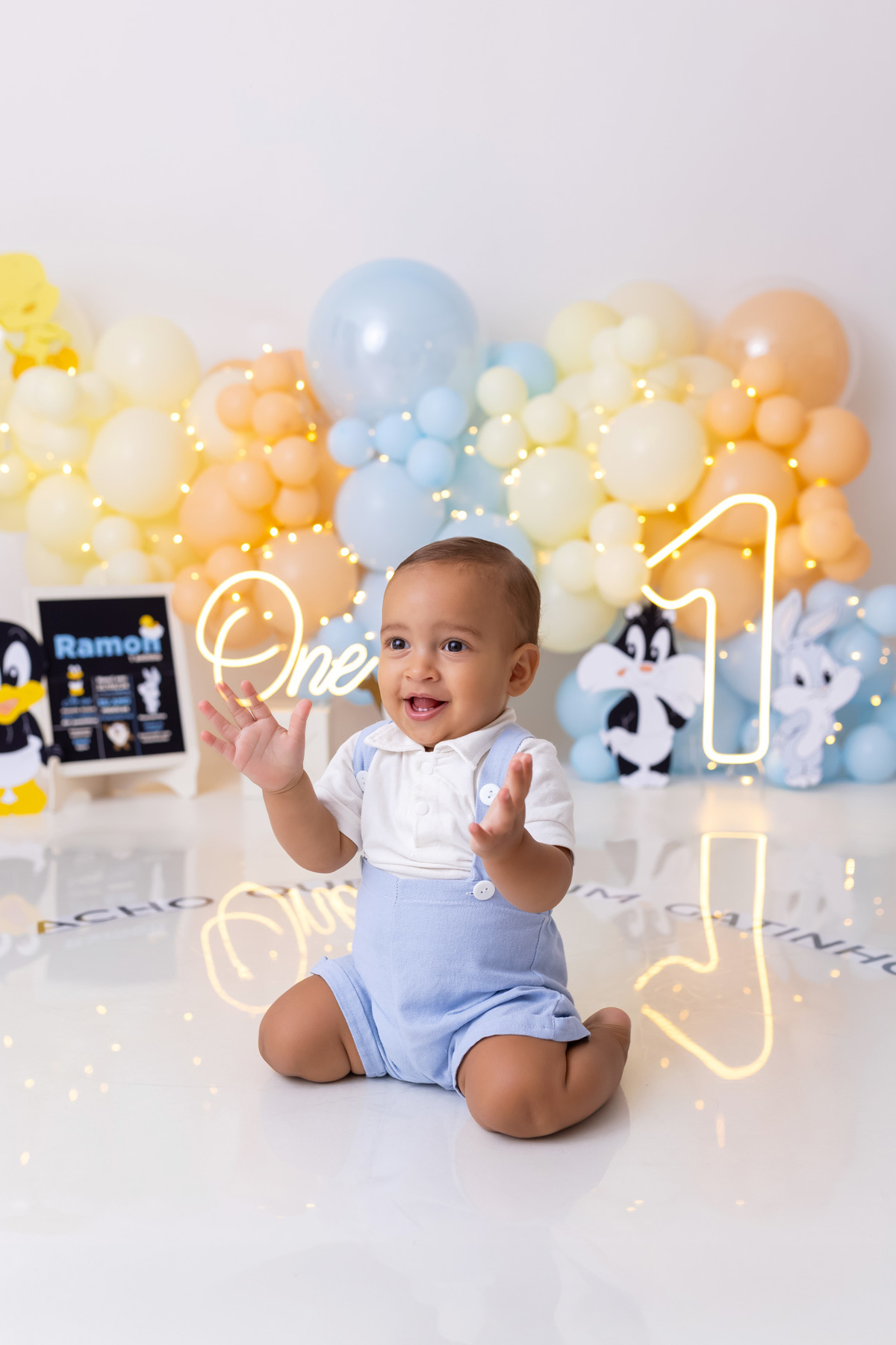 smash the cake Caraguatatuba - ensaio baby looney tunes - fotografia infantil Caraguatatuba - primeiro aninho - Estúdio On Click Fotografia - smash the cake temático menino