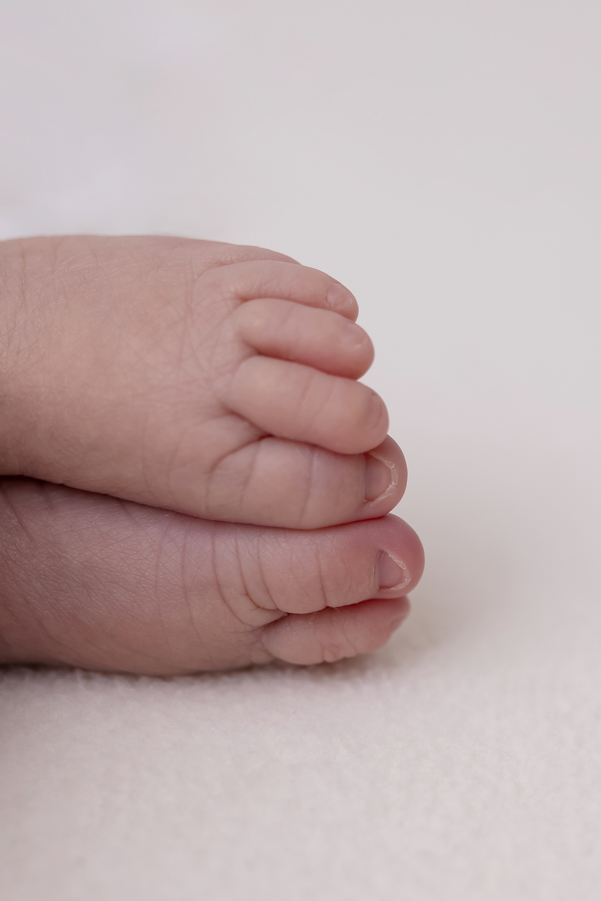 Ensaio newborn da Sofia em estúdio em Caraguatatuba – especialista newborn 