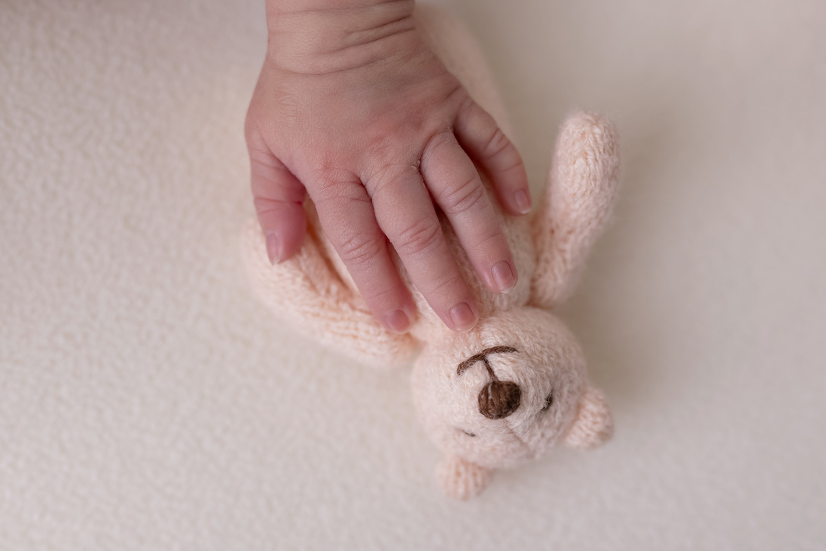 Ensaio newborn da Sofia em estúdio em Caraguatatuba – especialista newborn 