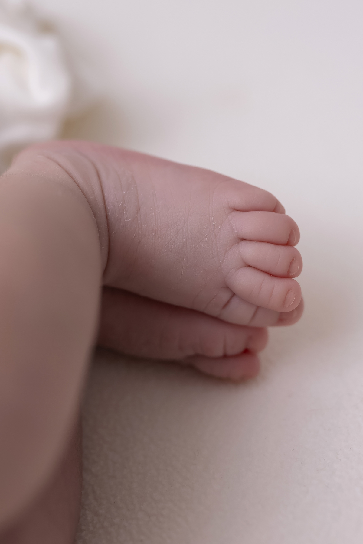 Fotógrafa Newborn em Caraguatatuba | Ensaio newborn do Bernardo