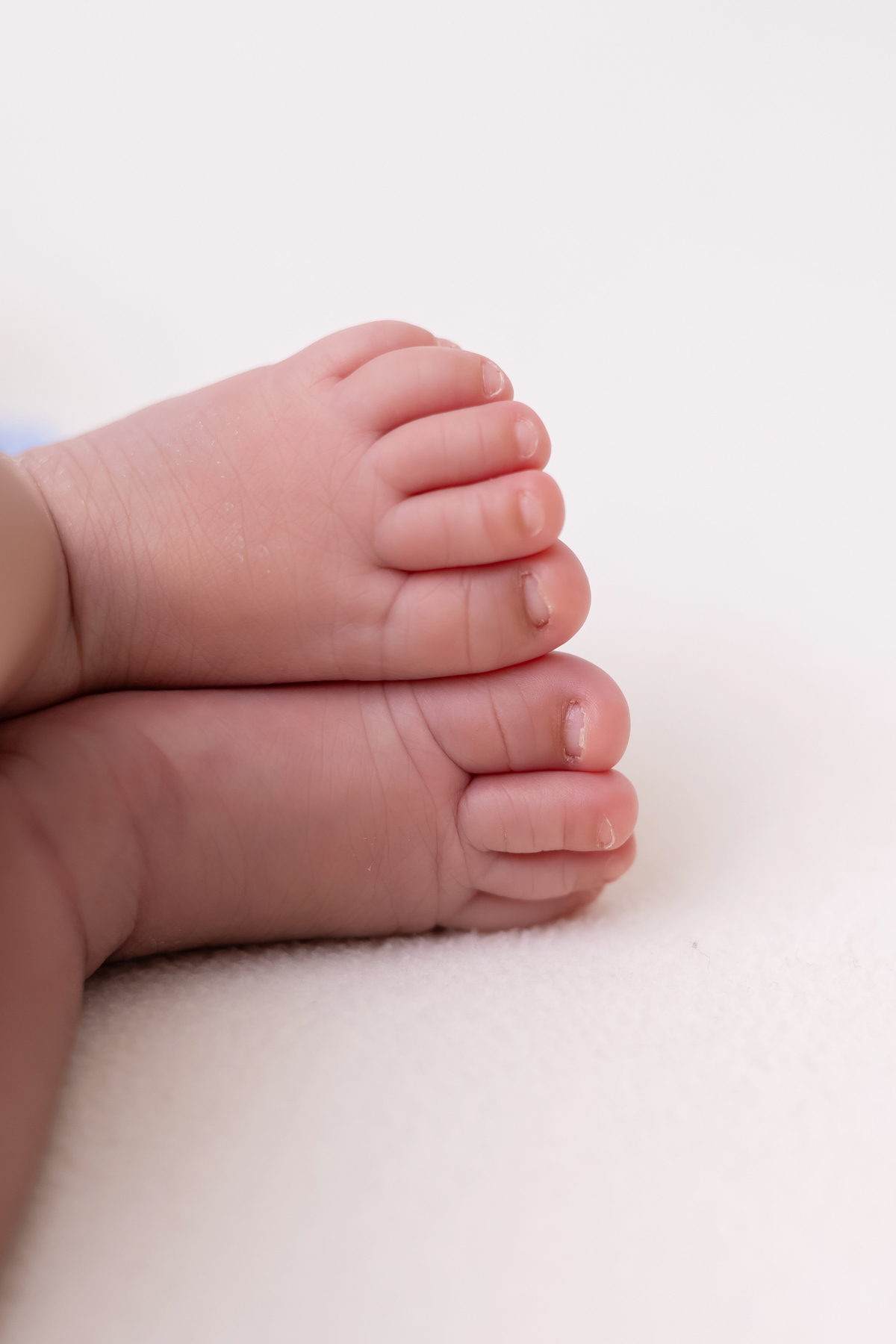 Ensaio newborn do Matheus realizado no estúdio On Click Fotografia em Caraguatatuba. Fotografia de recém-nascido com segurança, carinho e delicadeza.