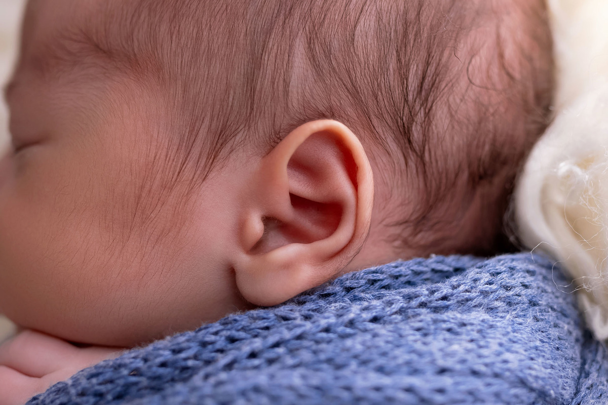 Bebê recém-nascido Levi enroladinho em tecido azul no baldinho durante ensaio newborn no estúdio On Click Fotografia em Caraguatatuba