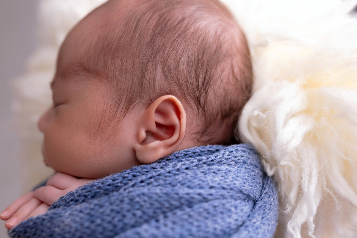 Bebê recém-nascido Levi enroladinho em tecido azul no baldinho durante ensaio newborn no estúdio On Click Fotografia em Caraguatatuba