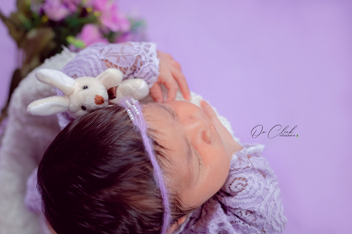 Newborn Caraguatatuba - ANNE LOUISE - On Click Fotografia