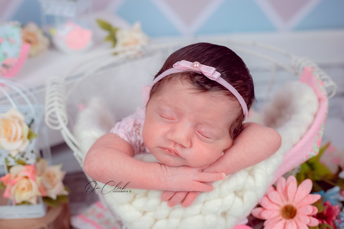 Newborn Caraguatatuba - Thalia Maria - On Click Fotografia