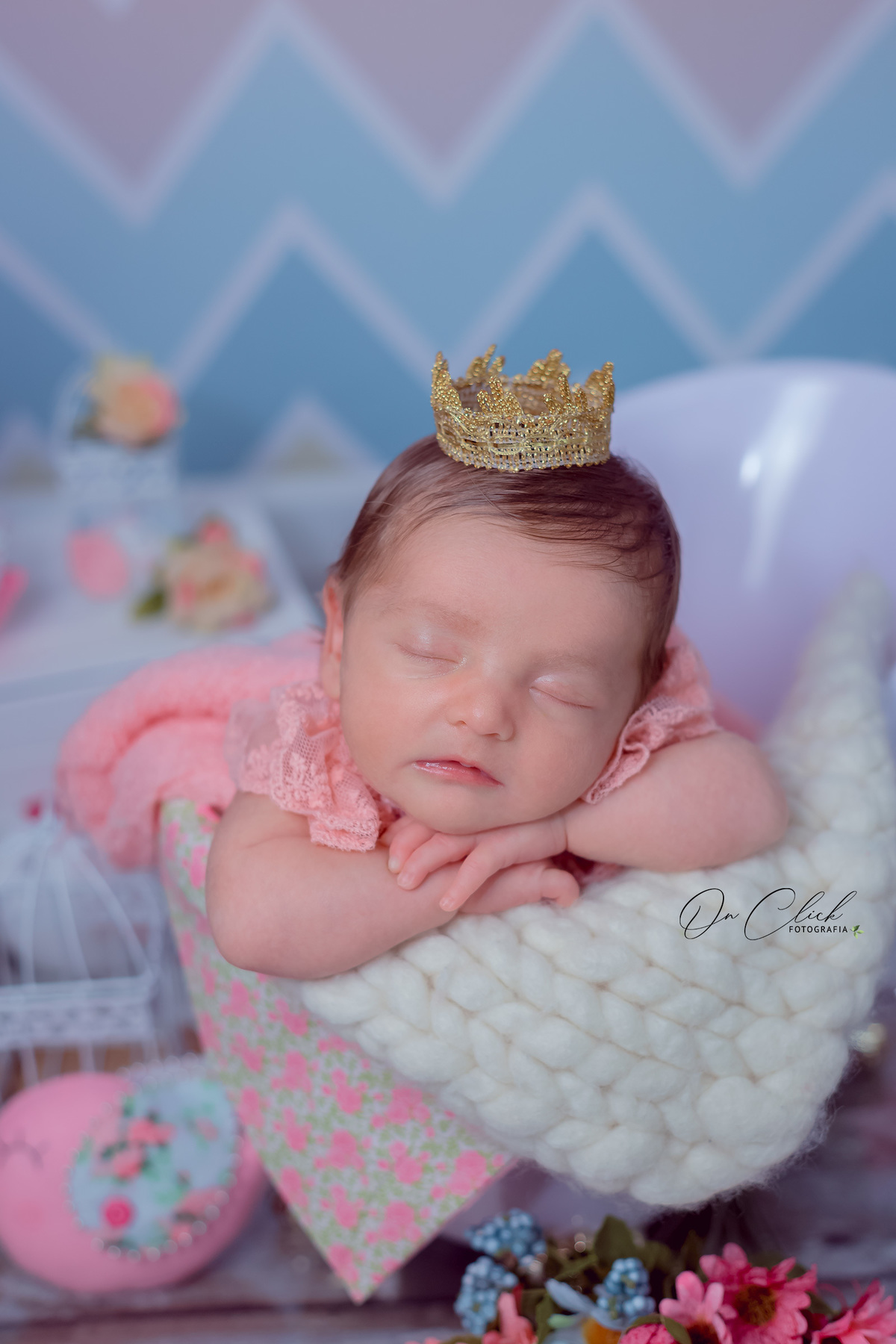 Newborn Manuella - Newborn Caraguatatuba - On Click Fotografia - Ensaio Newborn