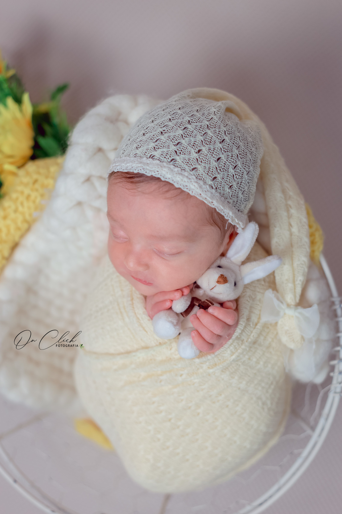 Newborn Manuella - Newborn Caraguatatuba - On Click Fotografia - Ensaio Newborn
