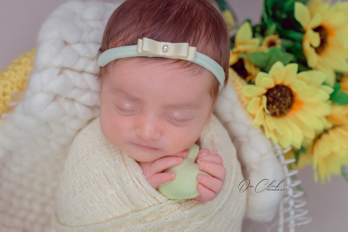 Newborn Manuella - Newborn Caraguatatuba - On Click Fotografia - Ensaio Newborn