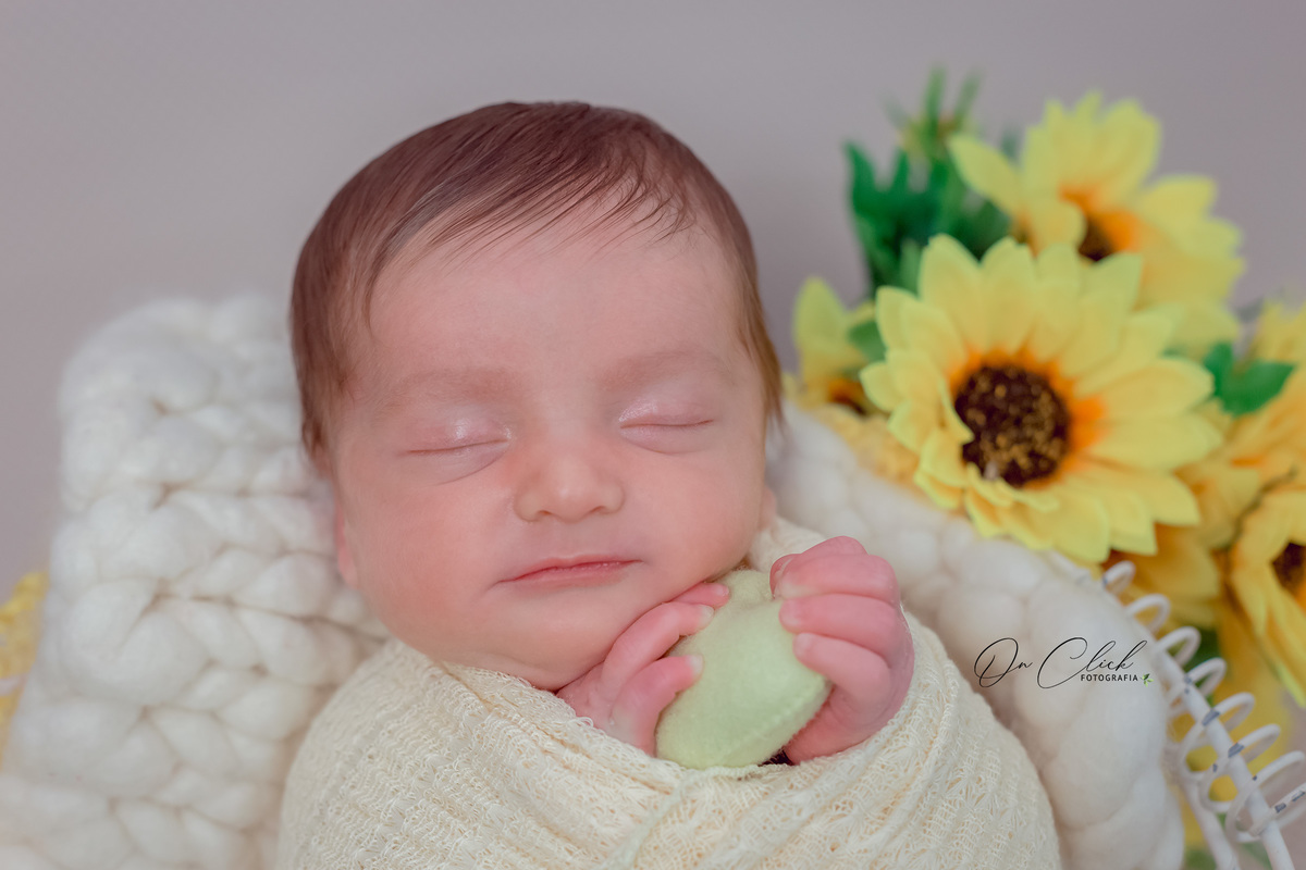 Newborn Manuella - Newborn Caraguatatuba - On Click Fotografia - Ensaio Newborn
