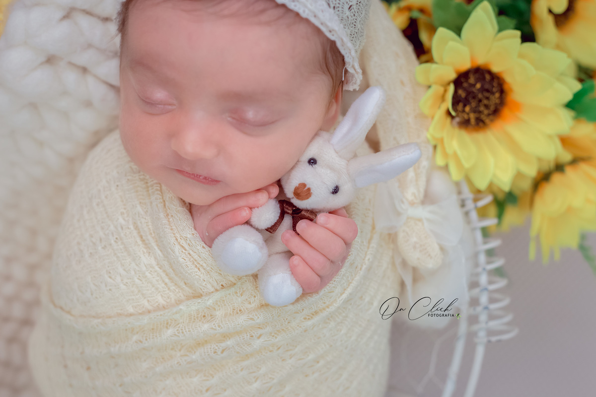 Newborn Manuella - Newborn Caraguatatuba - On Click Fotografia - Ensaio Newborn