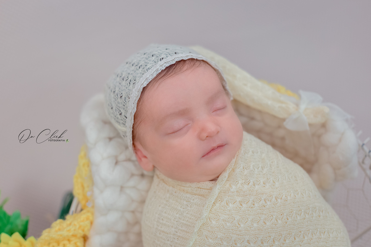 Newborn Manuella - Newborn Caraguatatuba - On Click Fotografia - Ensaio Newborn