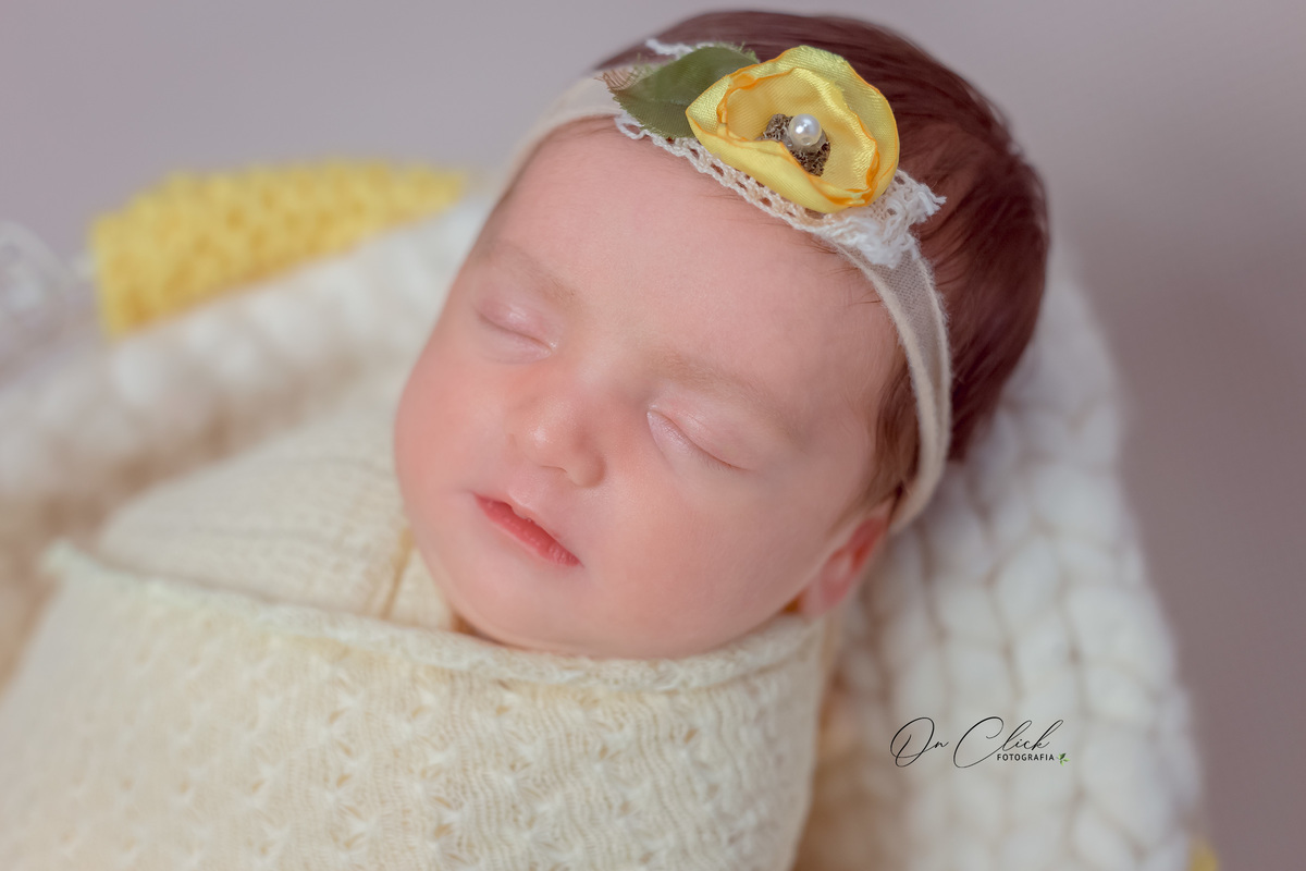 Newborn Manuella - Newborn Caraguatatuba - On Click Fotografia - Ensaio Newborn