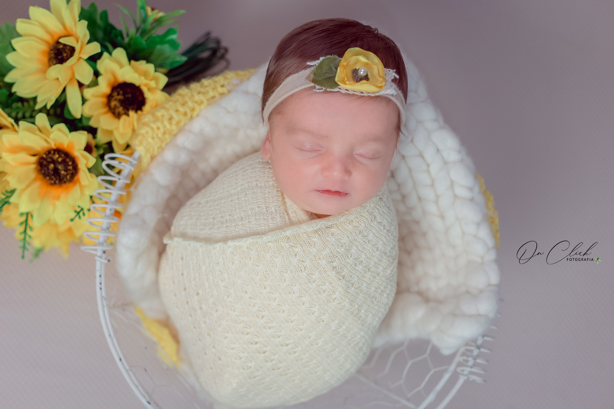 Newborn Manuella - Newborn Caraguatatuba - On Click Fotografia - Ensaio Newborn