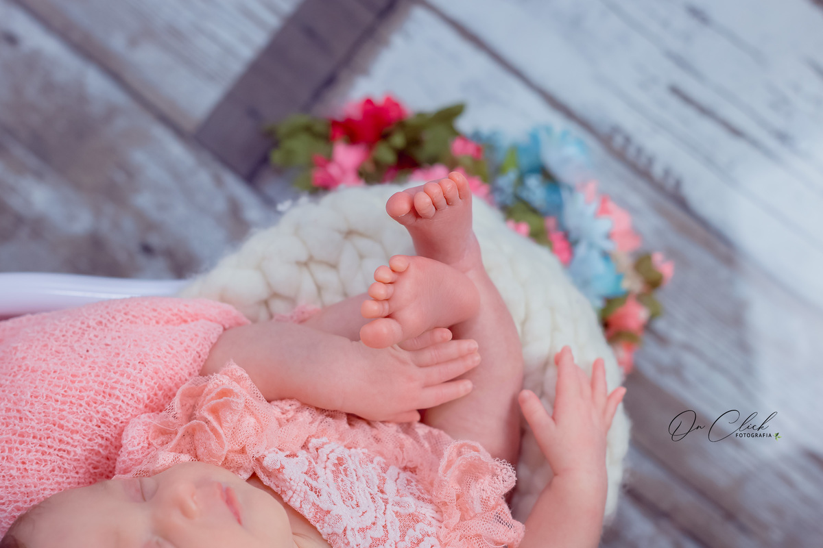 Newborn Manuella - Newborn Caraguatatuba - On Click Fotografia - Ensaio Newborn