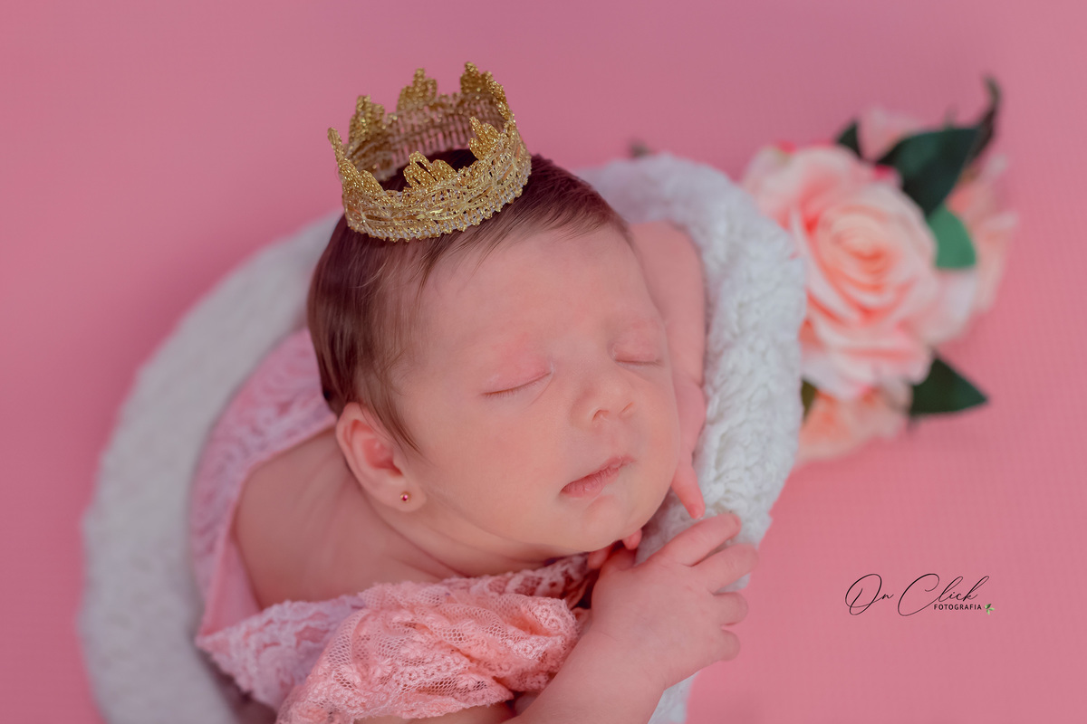 Newborn da Isabella - Pose na poltrona - Home Estúdio On Click Fotografia - Newborn Caraguatatuba
