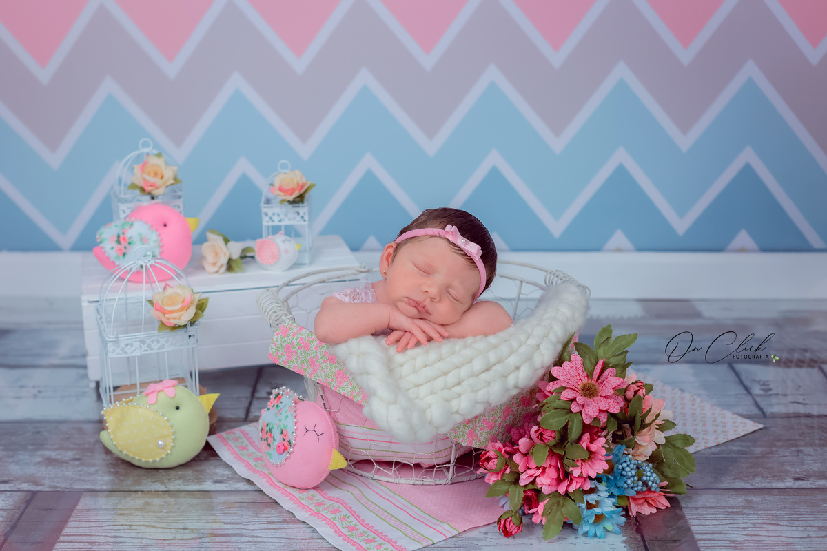 Newborn da Isabella - Pose no cesto aramado - Home Estúdio On Click Fotografia - Newborn Caraguatatuba