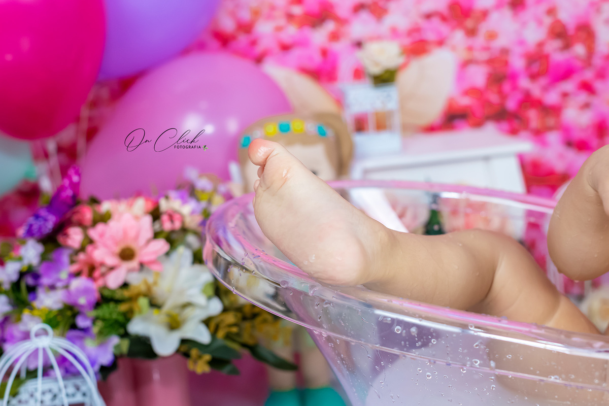 Smash the Cake - Princesa - Ana Alice - Caraguatatuba - On Click Fotografia