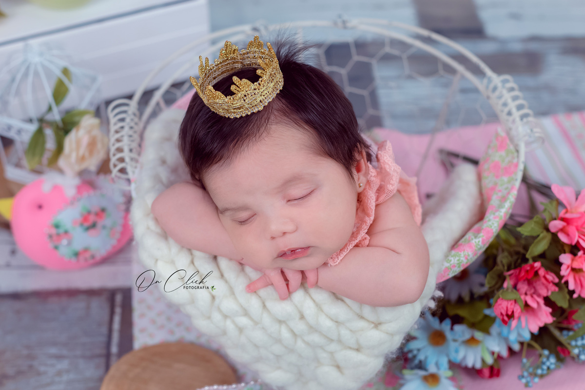 Newborn da Hellena - Pose no cesto aramado - Home Estúdio On Click Fotografia - Newborn Caraguatatuba