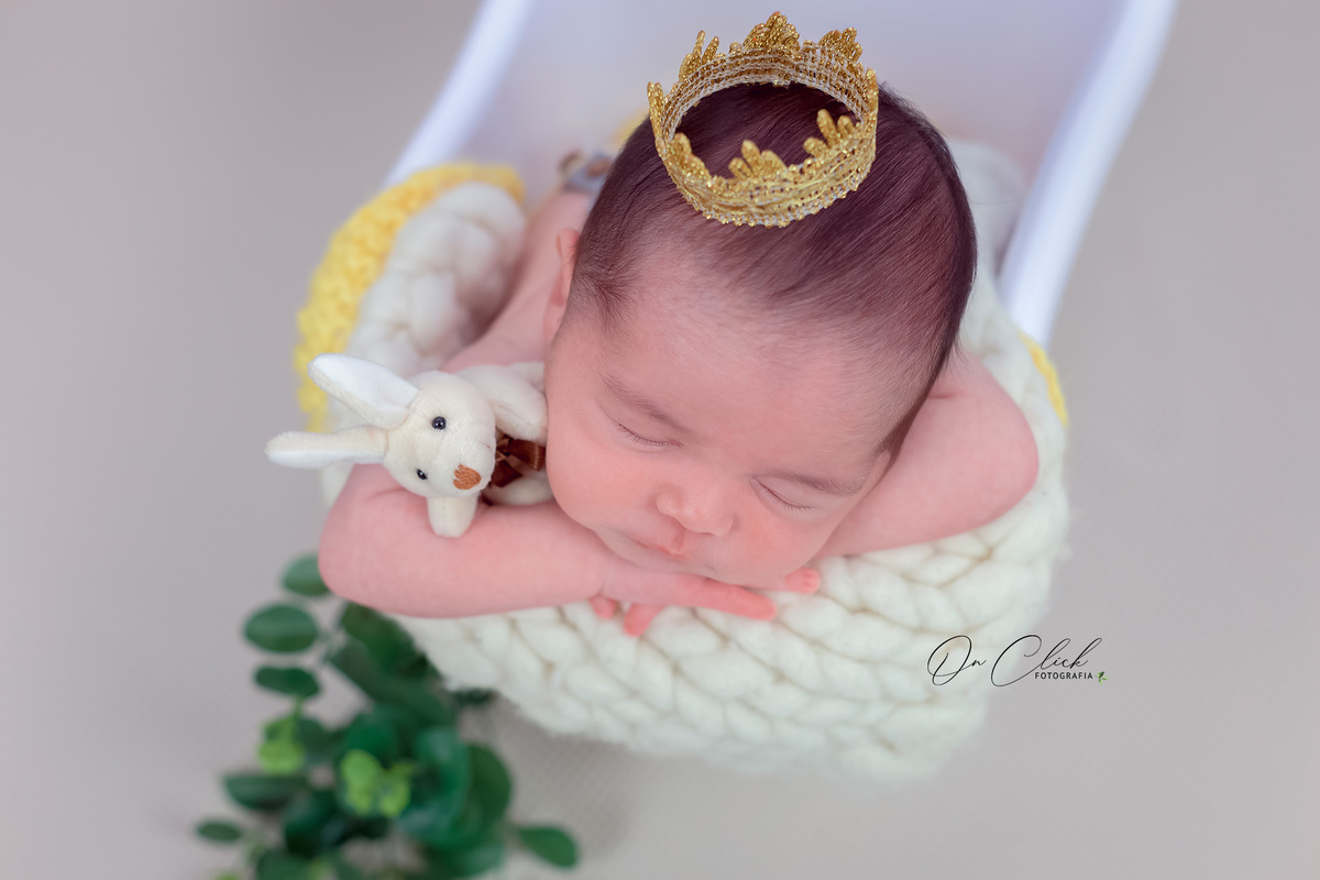 Newborn do Augusto - Pose na banheira - Home Estúdio On Click Fotografia - Newborn Caraguatatuba