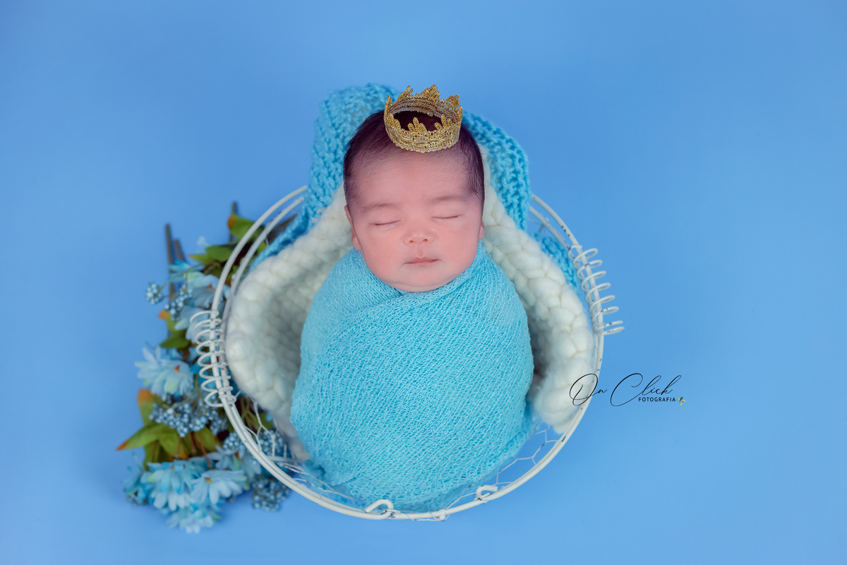 Newborn do Augusto - Pose no cesto aramado - Home Estúdio On Click Fotografia - Newborn Caraguatatuba