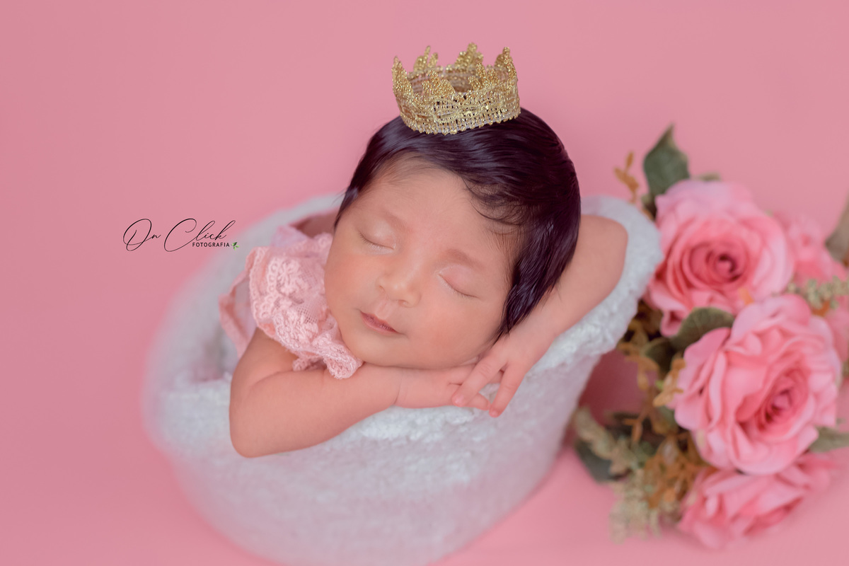 Newborn da Anelise - Pose da poltrona - Home Estúdio On Click Fotografia - Newborn Ubatuba