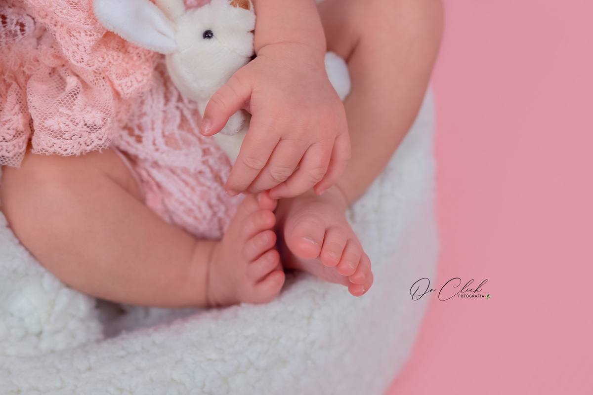 Newborn da Anelise - Pose da poltrona - Home Estúdio On Click Fotografia - Newborn Ubatuba