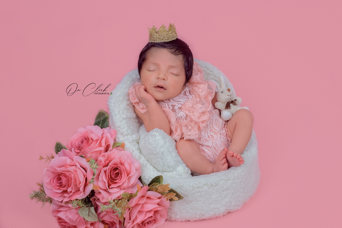 Newborn da Anelise - Pose da poltrona - Home Estúdio On Click Fotografia - Newborn Ubatuba