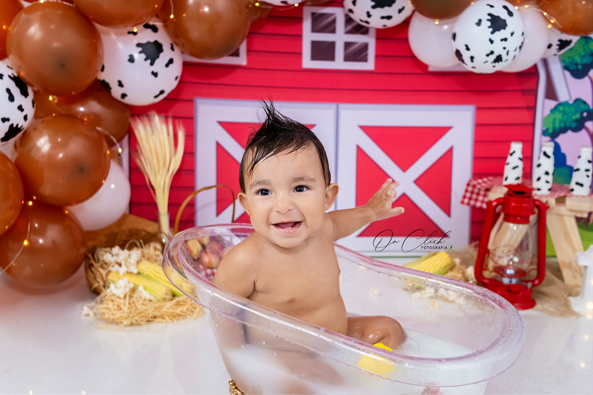 Smash the Cake A Fazendinha - Smash do Ricardo - Caraguatatuba/SP - On Click Fotografia