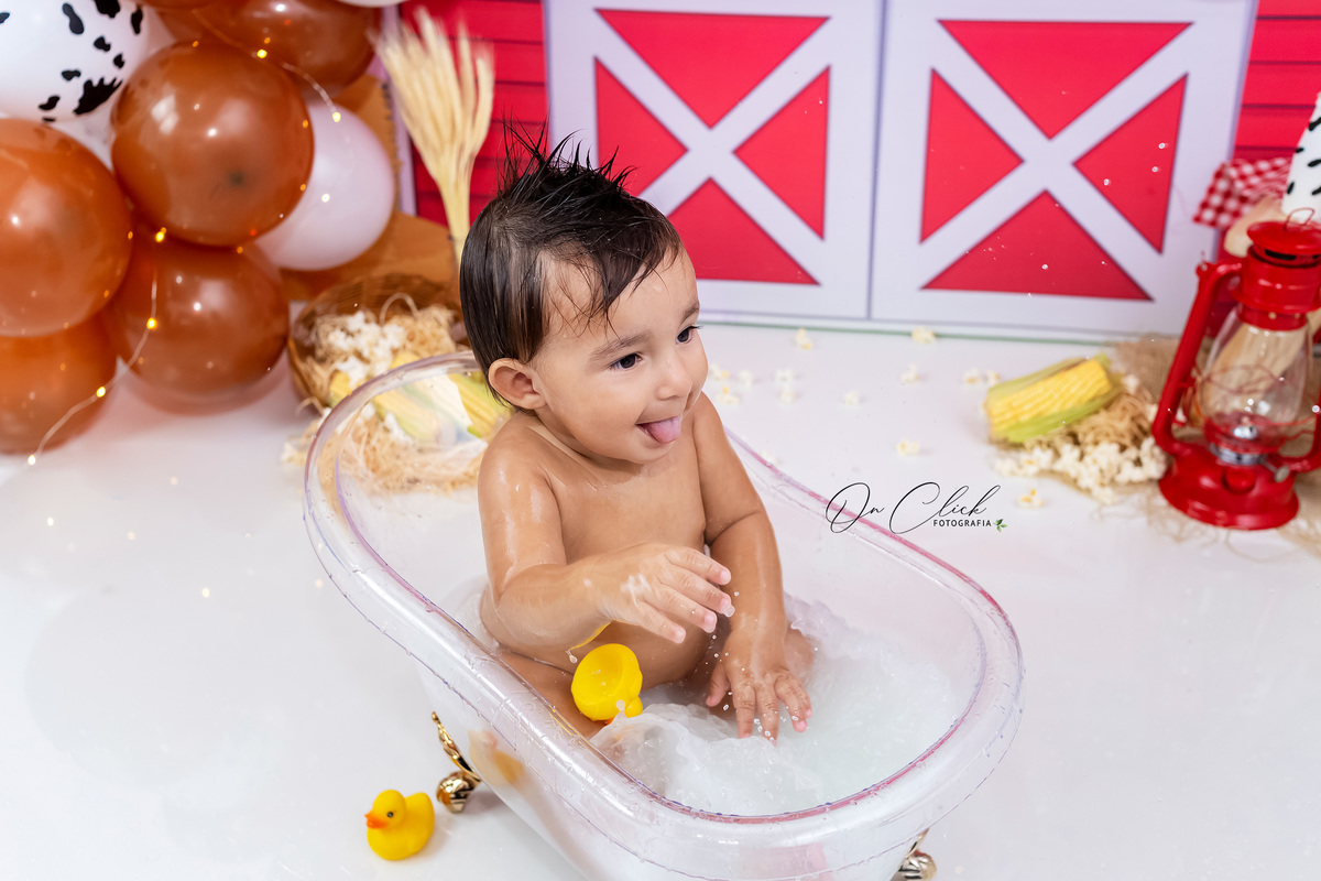 Smash the Cake A Fazendinha - Smash do Ricardo - Caraguatatuba/SP - On Click Fotografia