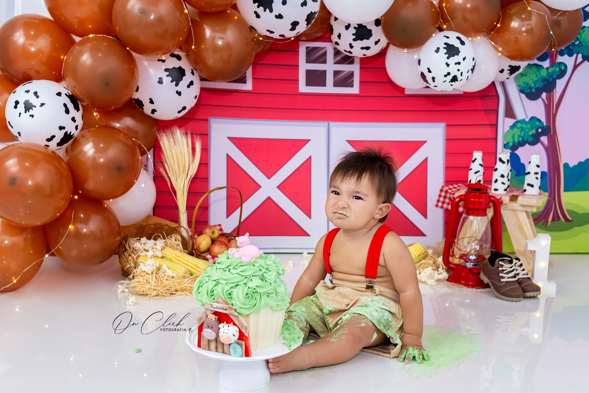 Smash the Cake A Fazendinha - Smash do Ricardo - Caraguatatuba/SP - On Click Fotografia