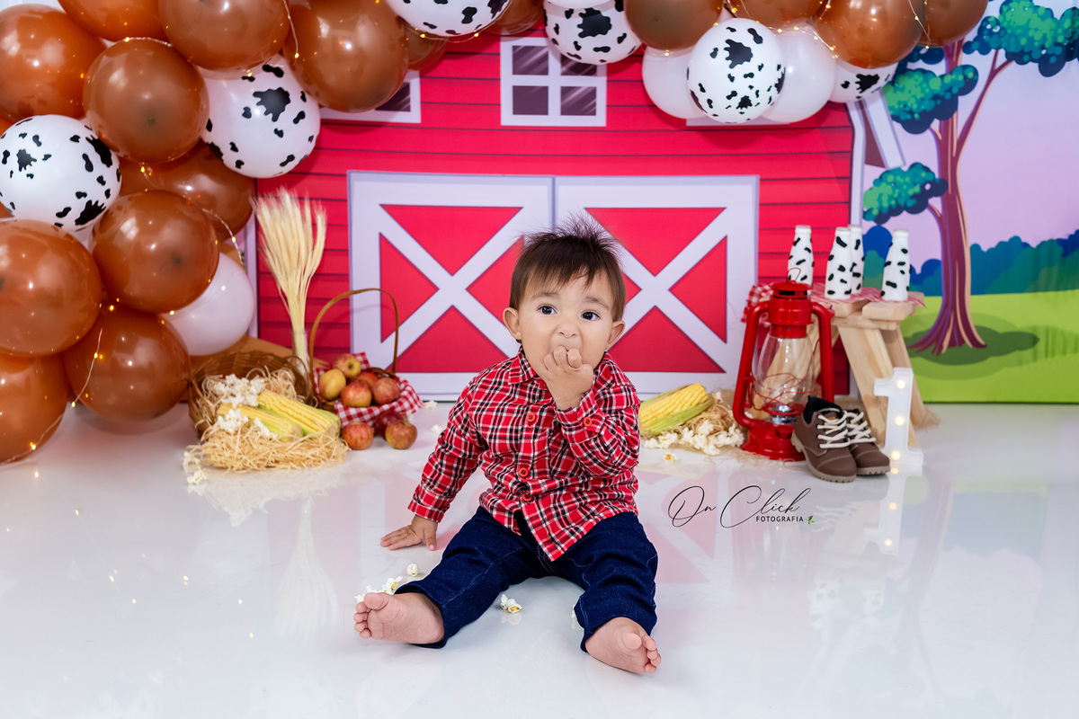 Smash the Cake A Fazendinha - Smash do Ricardo - Caraguatatuba/SP - On Click Fotografia