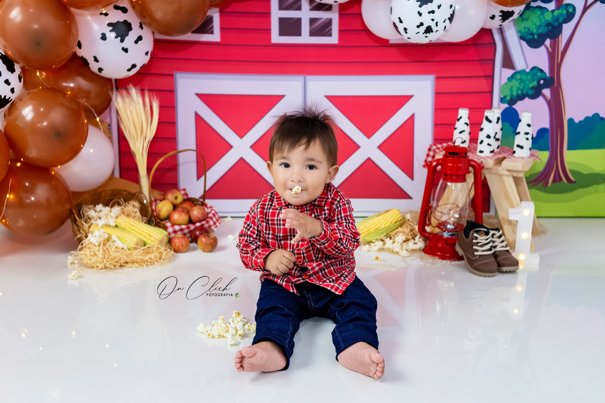 Smash the Cake A Fazendinha - Smash do Ricardo - Caraguatatuba/SP - On Click Fotografia