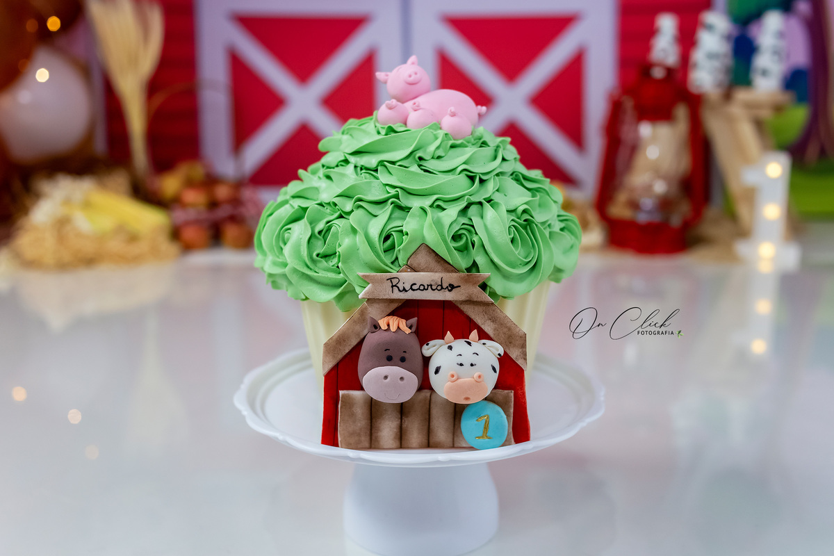 Smash the Cake A Fazendinha - Smash do Ricardo - Caraguatatuba/SP - On Click Fotografia