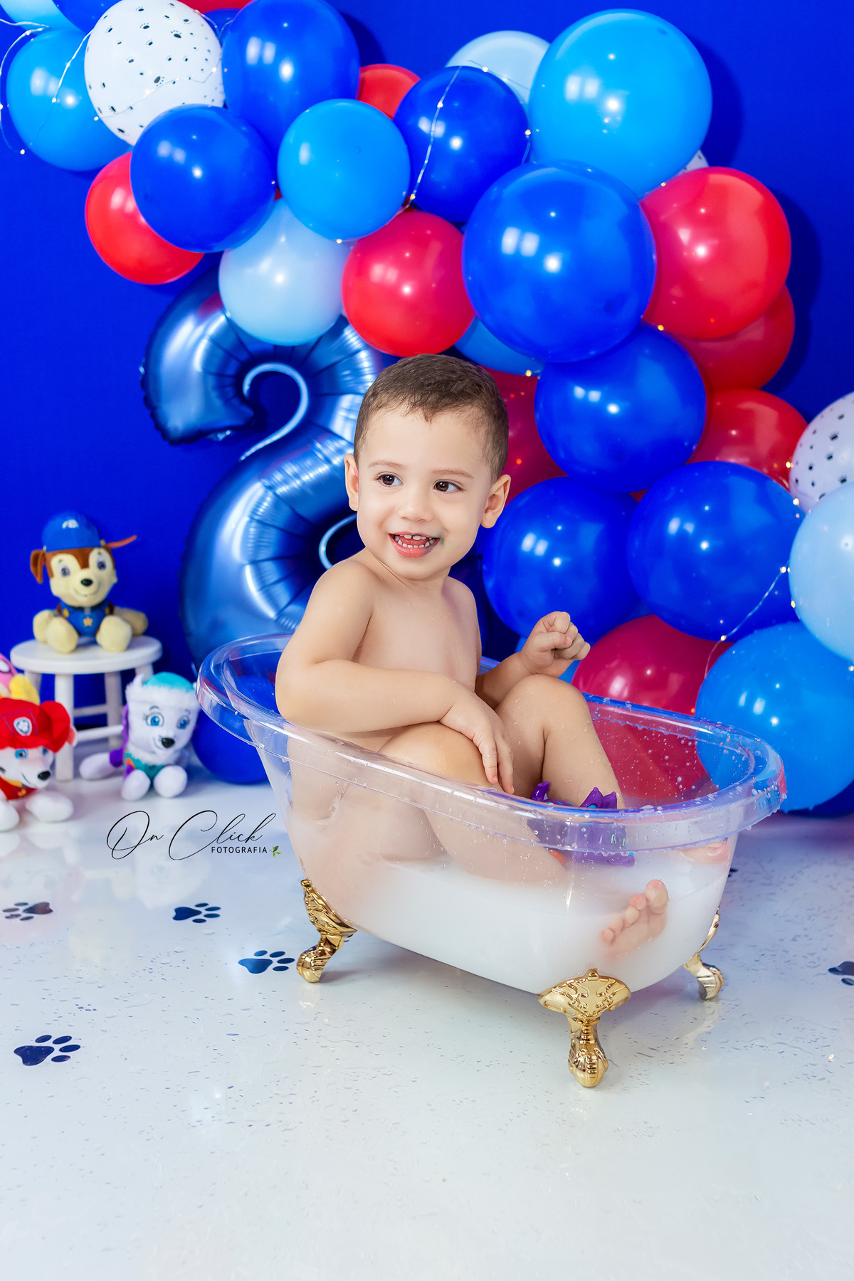 Smash the Cake Patrulha Canina - Smash the Cake do Davi - Caraguatatuba/SP - On Click Fotografia