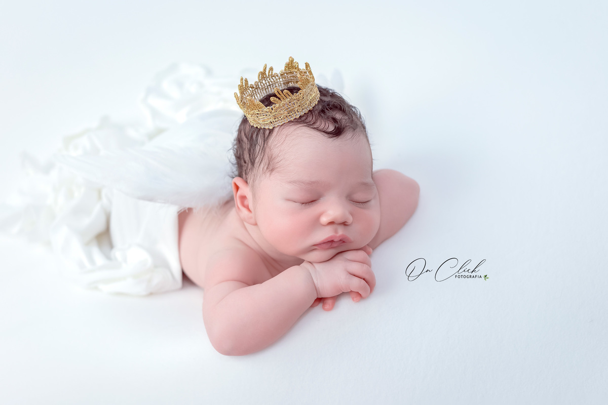 Newborn do Isaque - Newborn Caraguatatuba - Home Estúdio On Click Fotografia - Newborn Caraguatatuba